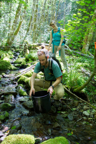 Stream Ecology field work, July 2014