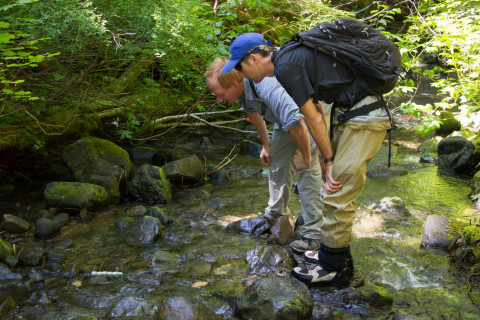 Stream Ecology field work, July 2014