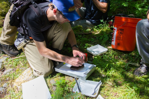 Stream Ecology field work, July 2014