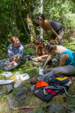 Stream Ecology field work, July 2014