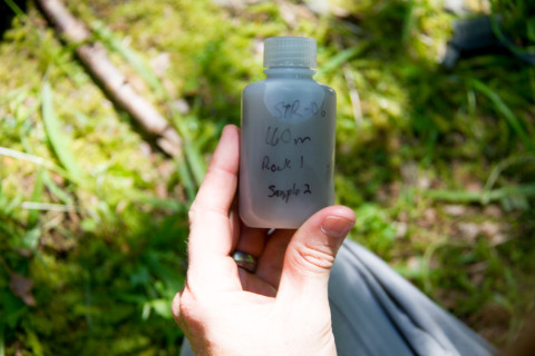 Stream Ecology field work, July 2014