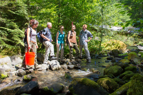 Stream Ecology field work, July 2014
