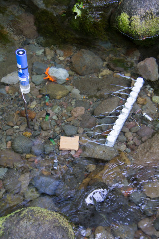 Stream Ecology field work, July 2014
