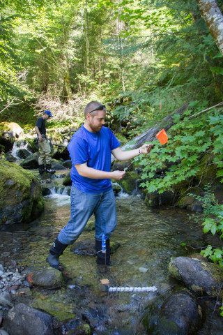 Stream Ecology field work, July 2014