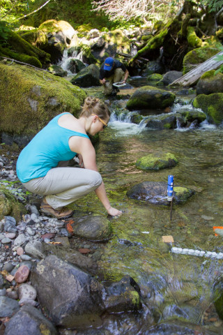 Stream Ecology field work, July 2014