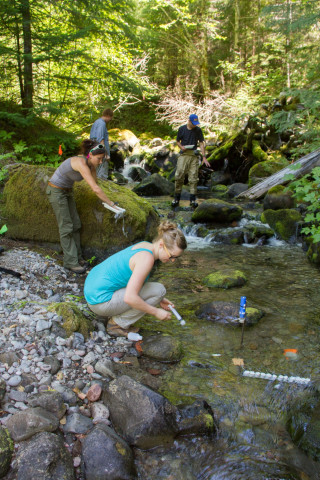 Stream Ecology field work, July 2014