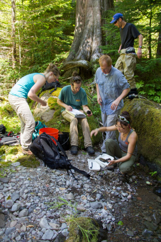 Stream Ecology field work, July 2014