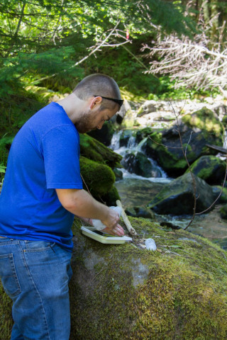 Stream Ecology field work, July 2014