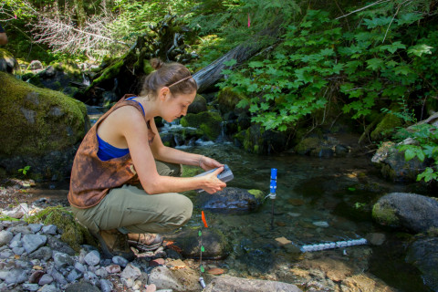 Stream Ecology field work, July 2014