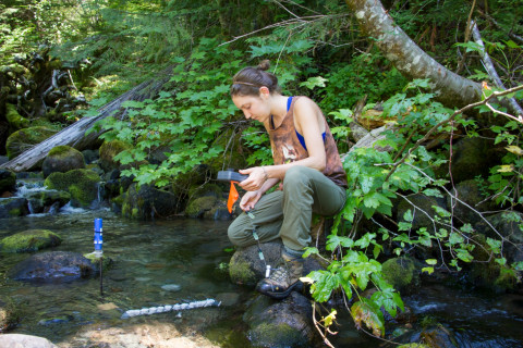 Stream Ecology field work, July 2014