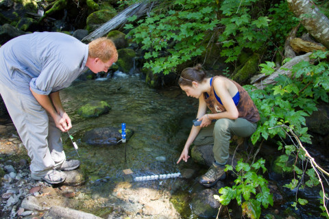 Stream Ecology field work, July 2014