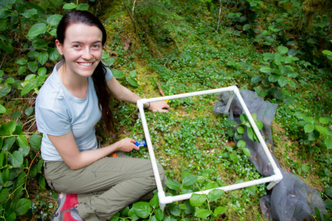 Plant Phenology field work, July 2014