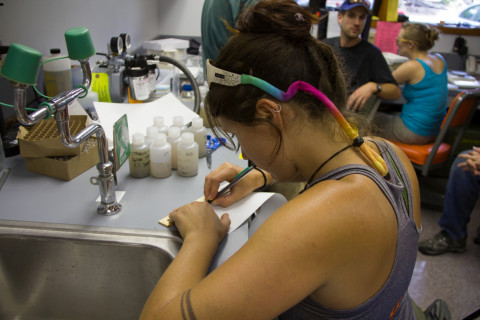 Stream Ecology field work, July 2014