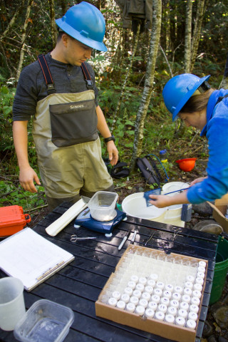 SCALER field work at the Andrews Forest