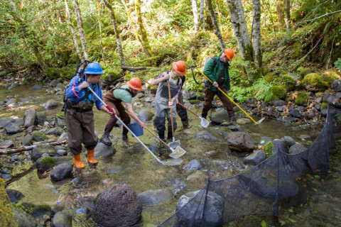 SCALER field work at the Andrews Forest