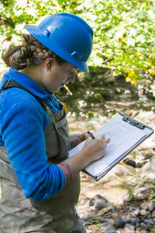 SCALER field work at the Andrews Forest