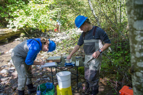 SCALER field work at the Andrews Forest