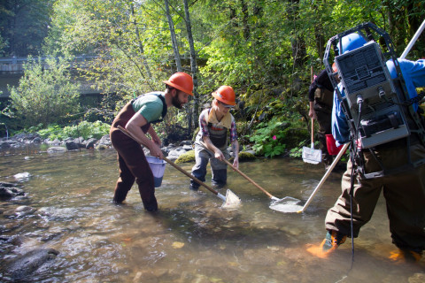 SCALER field work at the Andrews Forest