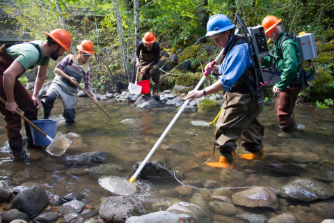 SCALER field work at the Andrews Forest