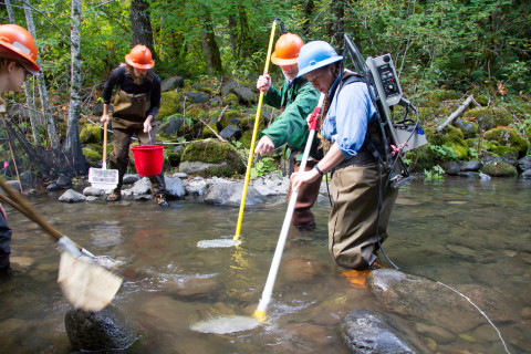 SCALER field work at the Andrews Forest