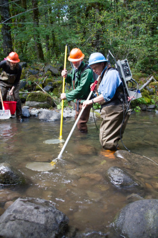 SCALER field work at the Andrews Forest