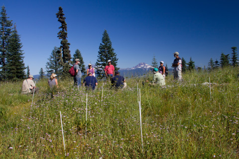 Andrews Forest LTER Executive Committee Retreat, August 2012