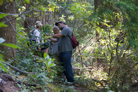 Andrews Forest LTER Executive Committee Retreat, August 2012