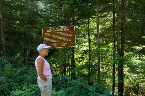 Andrews Forest LTER Executive Committee Retreat, August 2012
