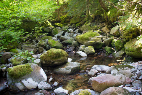 Lookout Creek in the HJ Andrews Experimental Forest