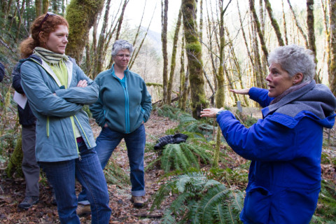 Andrews Forest LTER Executive Committee Retreat, March 2013