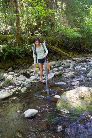 REU Sarah Ward samples for tagged salmanders
