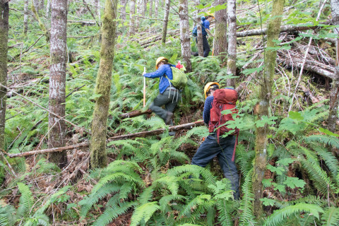 Graduate students in Watershed 1