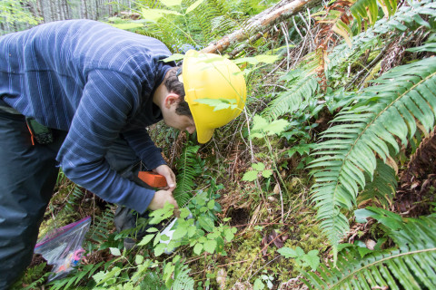 Graduate student measures soil moisture in Watershed 1