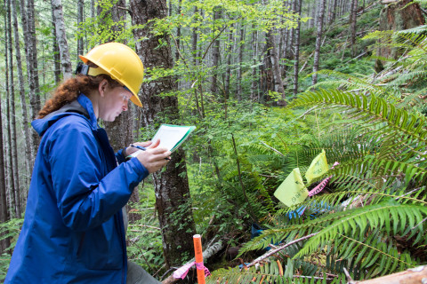 Graduate students in Watershed 1