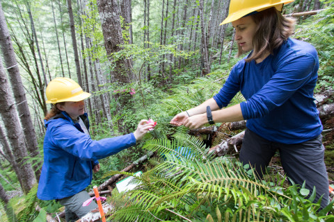 Graduate students in Watershed 1