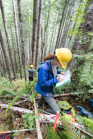 graduate students in soil moisture plots on the slope of Watershed 1