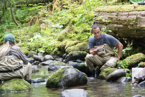 student researchers in lower McRae Creek at the HJA