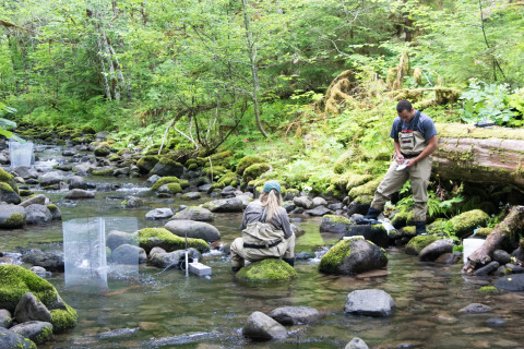 student researchers in lower McRae Creek at the HJA