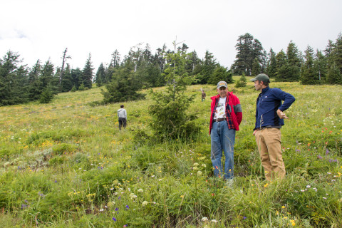 Andrews Forest field work, July 2016
