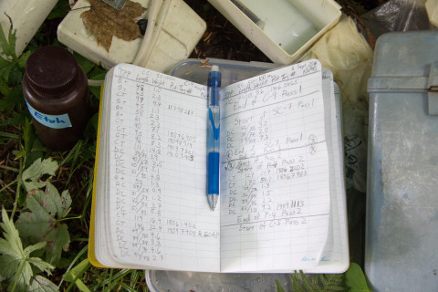 Mack Creek stream vertebrates field gear