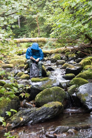 Michael Paul Nelson writing in Mack Creek