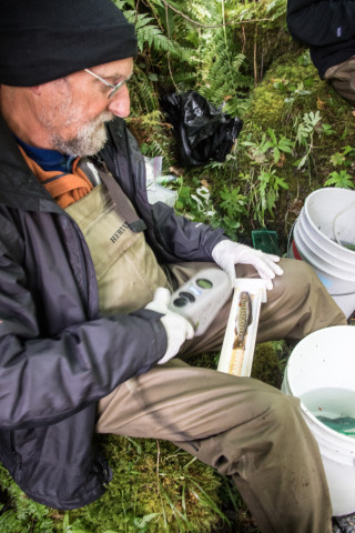 Randy Wildman scanning a fish for a PIT tag