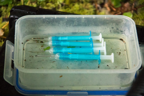 syringes with new PIT tags