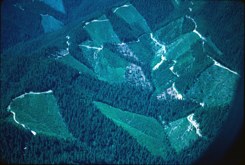 	HJ Andrews and surrounding area; Mona Creek