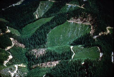 	HJ Andrews and surrounding area; Mona Creek