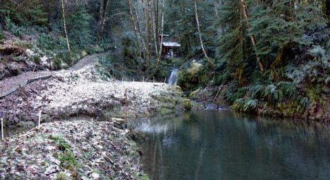 Gauging Station at Watershed 1