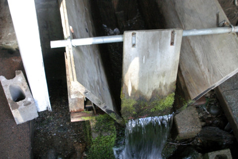 Gauging Station at Watershed 8