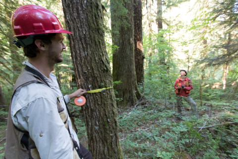 Pacific Northwest Permanent Sample Plot Program, Field work 2018