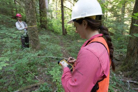 Pacific Northwest Permanent Sample Plot Program, Field work 2018