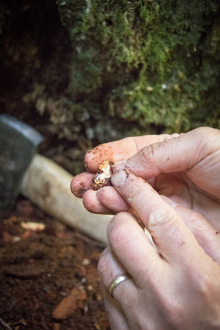 Pacific Northwest Permanent Sample Plot Program, Field work 2018